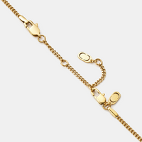 3" Chain Extender (Gold)