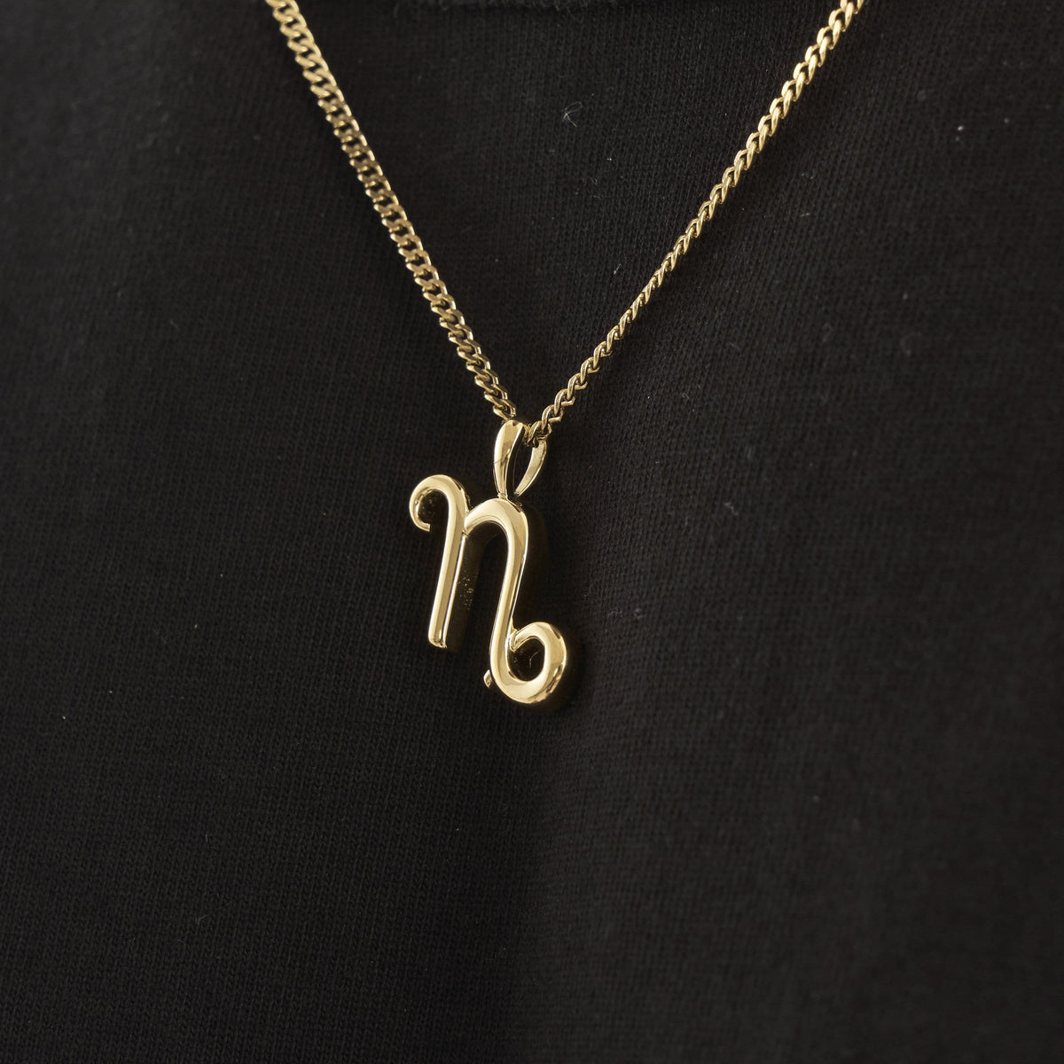 Capricorn (Gold)